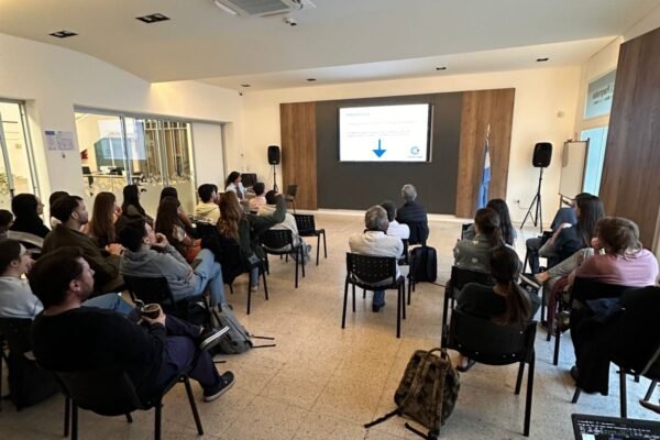 WhatsApp Image 2025-10-20 at 13.00.54 (1)